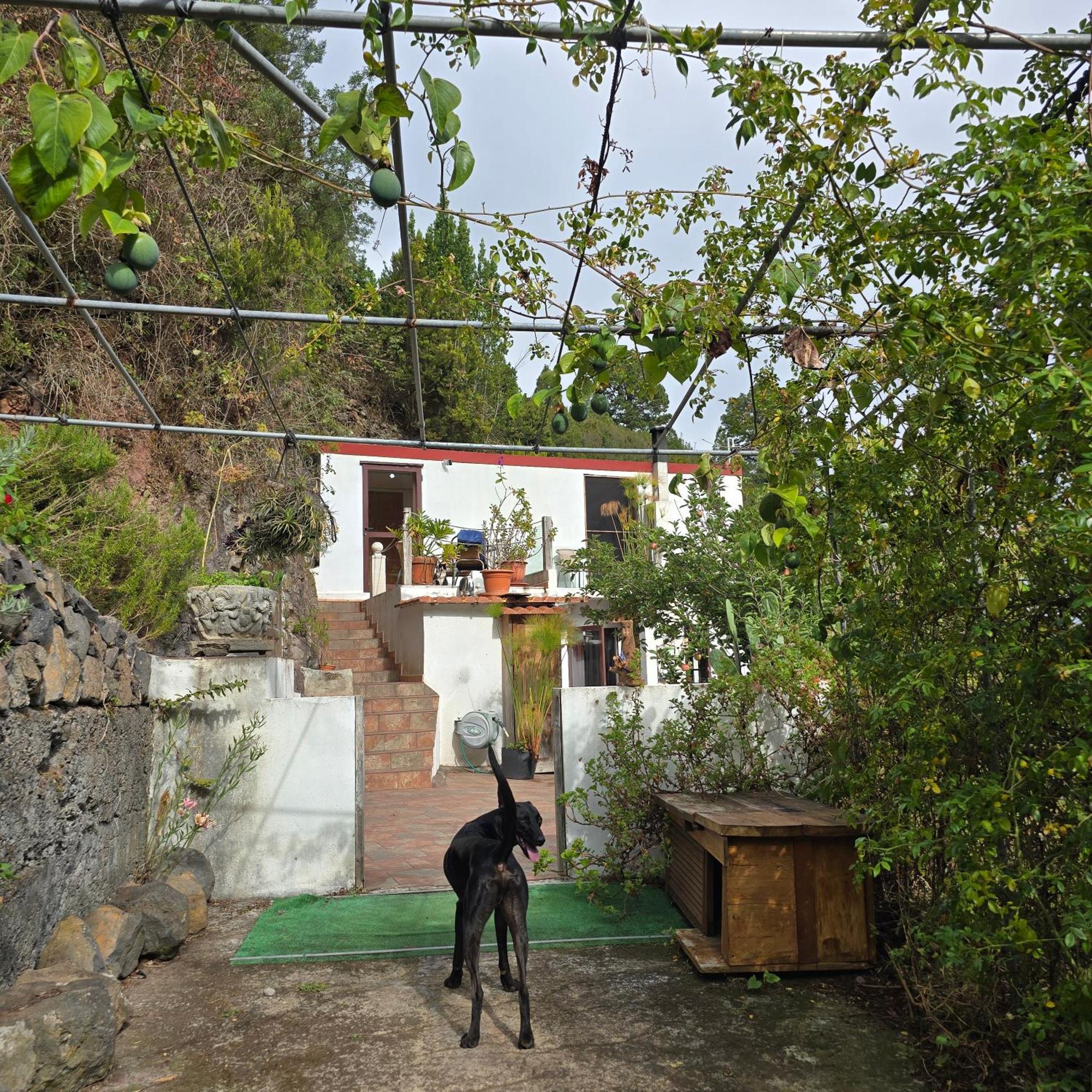 Vila Freedom El Tablado Exteriér fotografie