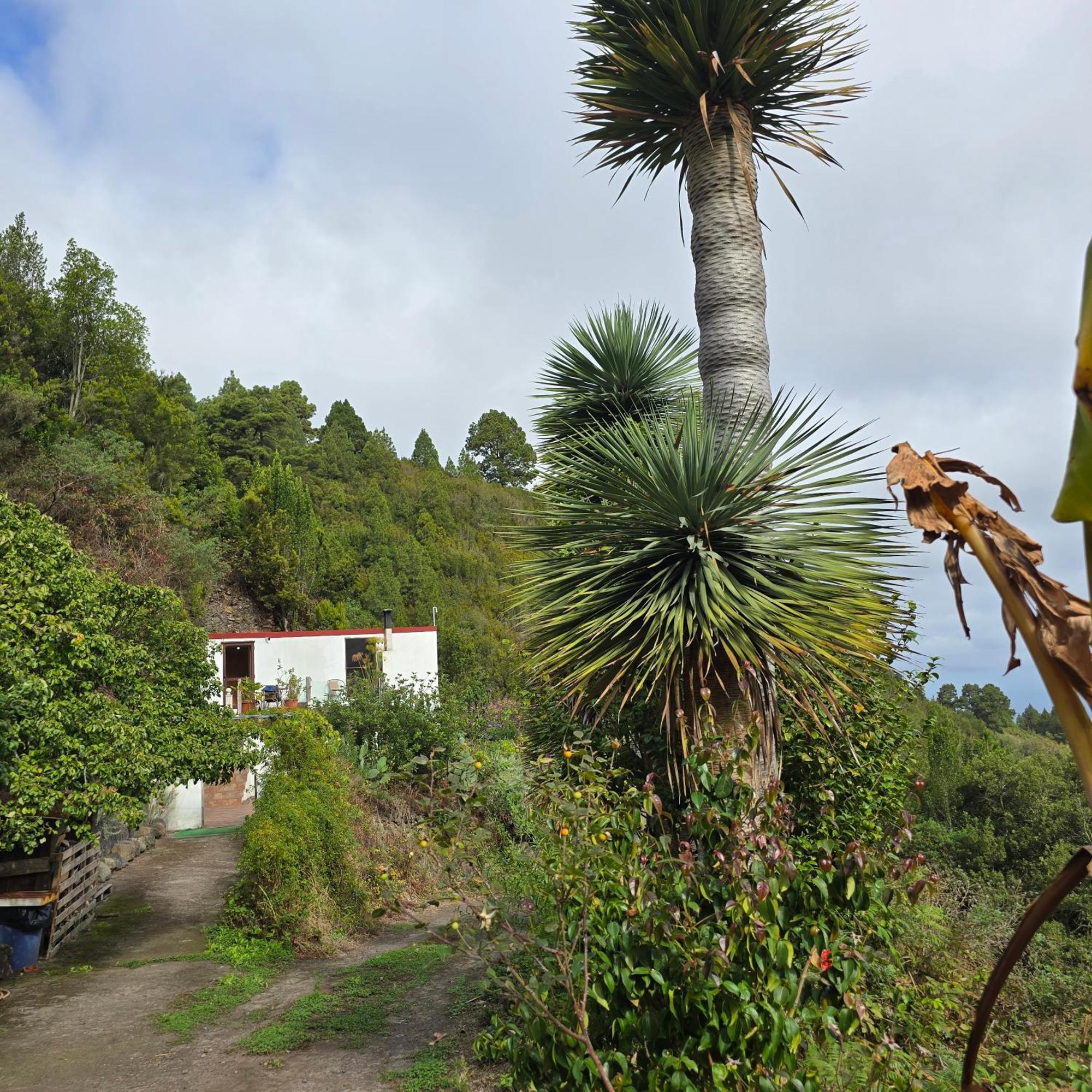 Vila Freedom El Tablado Exteriér fotografie